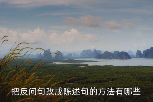 反問句變陳述句,把反問句改成陳述句的方法有哪些?