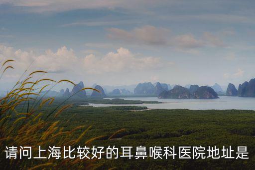 請問上海比較好的耳鼻喉科醫院地址是