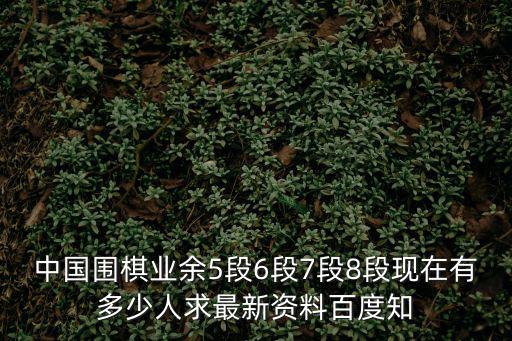 中國圍棋業(yè)余5段6段7段8段現(xiàn)在有多少人求最新資料百度知