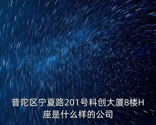 普陀區寧夏路201號科創大廈8樓H座是什么樣的公司