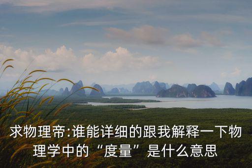 求物理帝:誰能詳細的跟我解釋一下物理學中的“度量”是什么意思