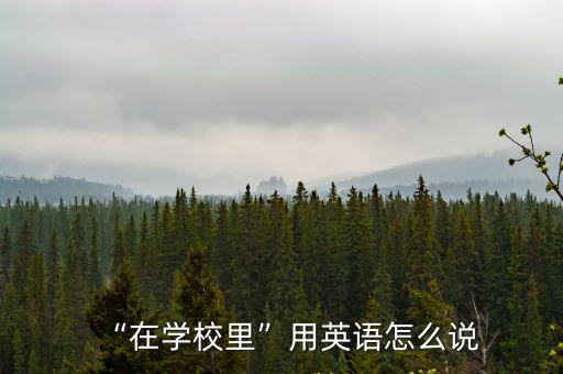 在學校的英語,新傳媒5頻道播出第二場選區競選廣播