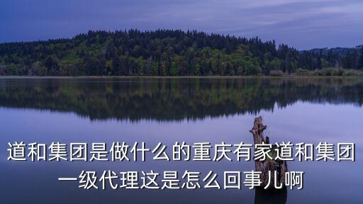 道和集團是做什么的重慶有家道和集團一級代理這是怎么回事兒啊
