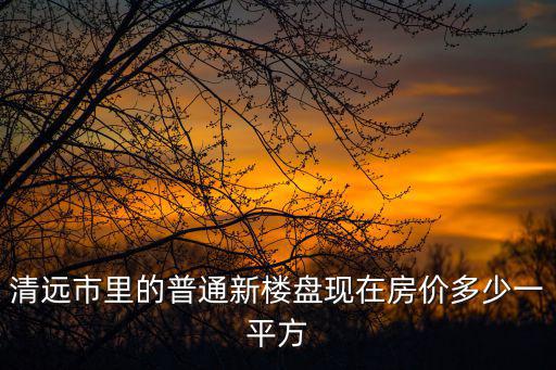 清新區最低房價樓盤是哪個，清新縣 黃坑 樓價