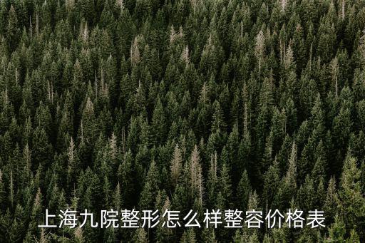 上海第九整形美容醫院價格表，我要問上海第九人民醫院額整形多少次錢