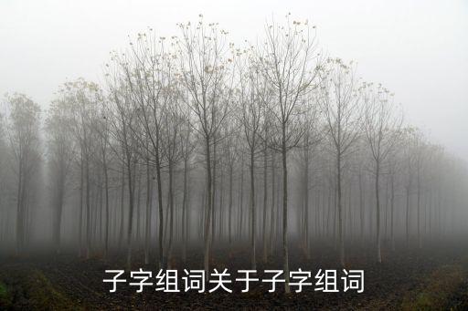 子字開頭組詞,子·組詞有哪些?