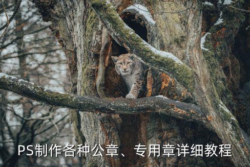 PS制作各種公章、專用章詳細教程