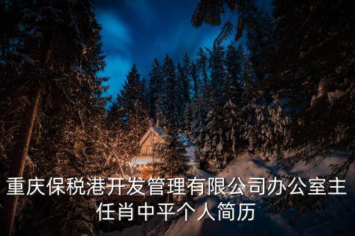 重慶保稅港開發管理有限公司辦公室主任肖中平個人簡歷