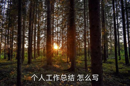 個(gè)人工作小結(jié)，個(gè)人工作總結(jié)范文