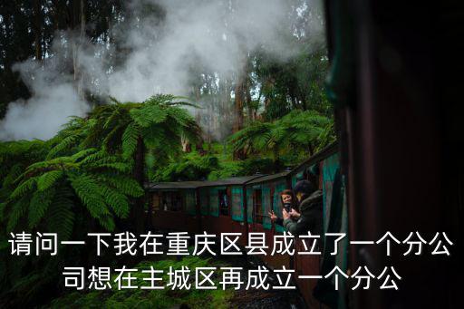 請問一下我在重慶區縣成立了一個分公司想在主城區再成立一個分公