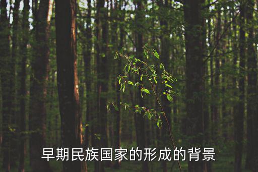早期民族國(guó)家的形成的背景