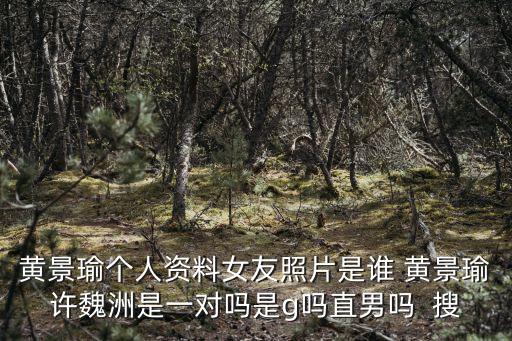 黃景瑜個人資料女友照片是誰 黃景瑜許魏洲是一對嗎是g嗎直男嗎  搜