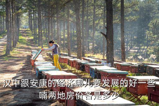 漢中哪個城市房價高，漢中跟安康的經(jīng)濟哪兒要發(fā)展的好一些喃兩地房價各是多少