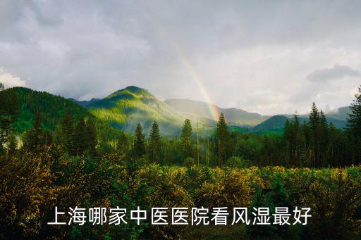 上海哪家中醫醫院看風濕最好
