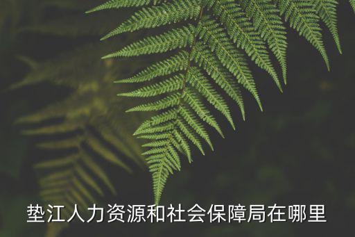 墊江人力資源和社會保障局在哪里