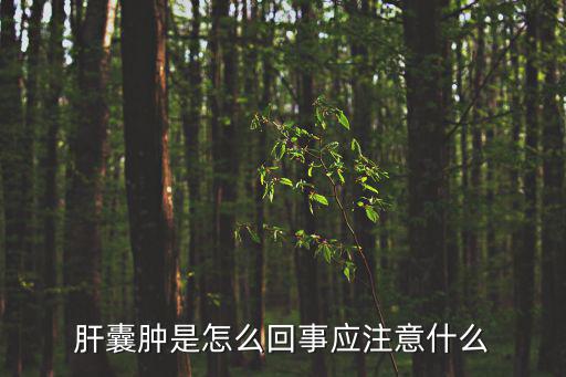 肝囊腫是怎么回事應注意什么