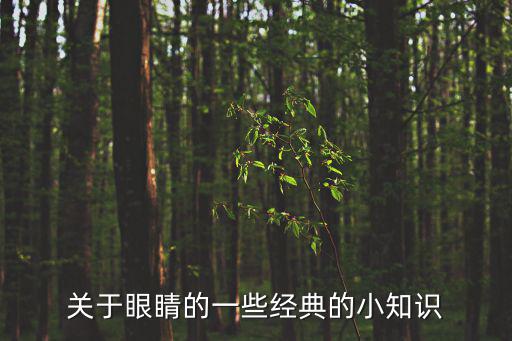 關于眼睛的一些經典的小知識