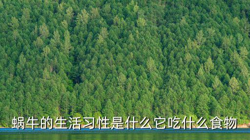 蝸牛的生活習性,蝸牛的習性:喜歡陰暗潮濕環境