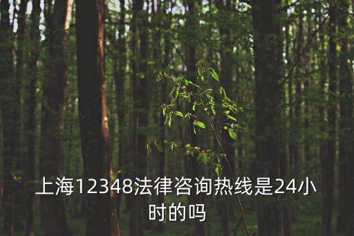 上海12348法律咨詢熱線是24小時的嗎
