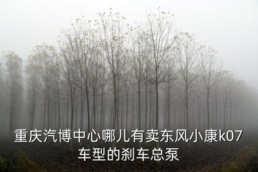 重慶汽博中心哪兒有賣(mài)東風(fēng)小康k07車(chē)型的剎車(chē)總泵