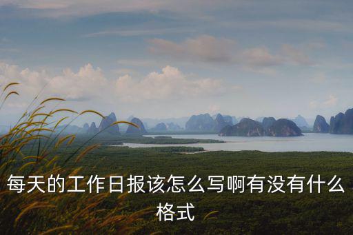 每天的工作日報該怎么寫啊有沒有什么格式