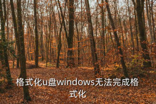 u盤無法完成格式化,u盤無法格式化怎么辦?可以這樣做!