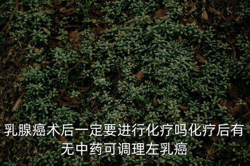 乳腺癌術(shù)后一定要進(jìn)行化療嗎化療后有無中藥可調(diào)理左乳癌