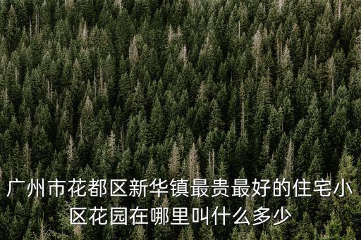 廣州市花都區新華鎮最貴最好的住宅小區花園在哪里叫什么多少