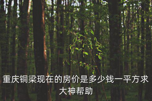 重慶銅梁現在的房價是多少錢一平方求大神幫助