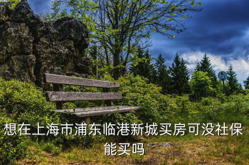 想在上海市浦東臨港新城買房可沒社保能買嗎