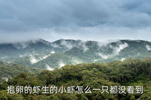 小蝦簡筆畫，最最最簡單的簡筆畫大蝦怎么畫
