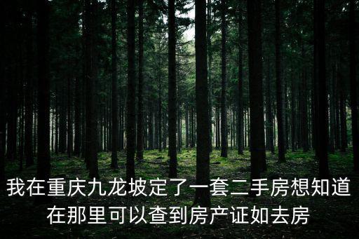 我在重慶九龍坡定了一套二手房想知道在那里可以查到房產證如去房