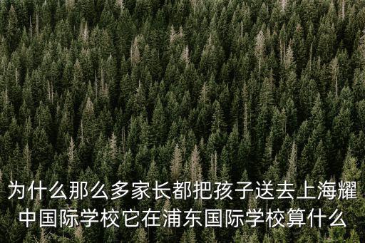 為什么那么多家長都把孩子送去上海耀中國際學校它在浦東國際學校算什么