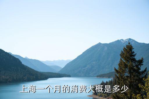 上海一個(gè)月的消費(fèi)大概是多少
