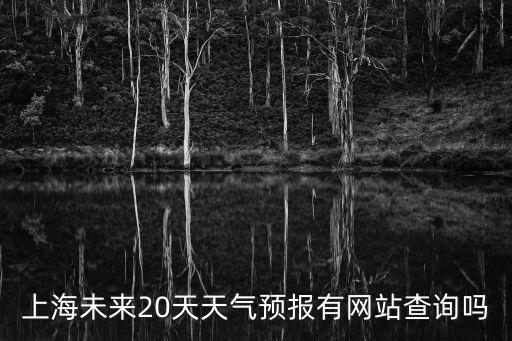 上海未來(lái)20天天氣預(yù)報(bào)有網(wǎng)站查詢嗎