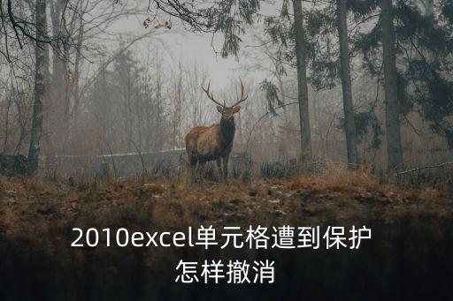單元格被保護如何撤銷，2010excel單元格遭到保護 怎樣撤消