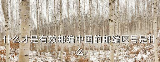 上海市雙橋小區(qū)郵編，金安區(qū)雙橋街道郵編