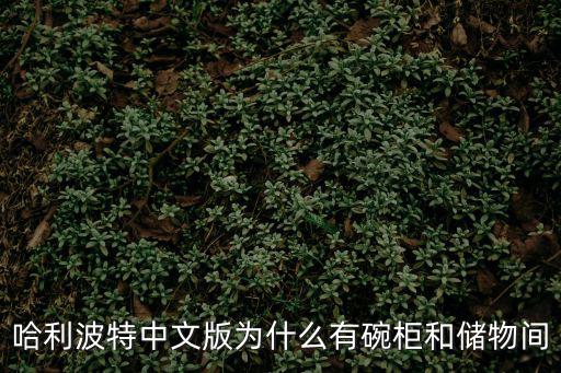 哈利波特中文版為什么有碗柜和儲物間