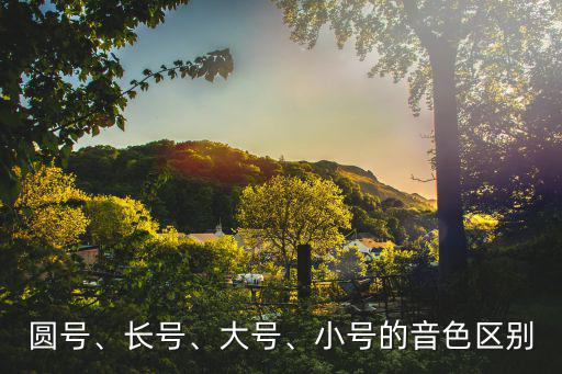 圓號、長號、大號、小號的音色區別