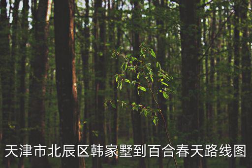 天津市北辰區(qū)調(diào)線工程圖，天津的地鐵