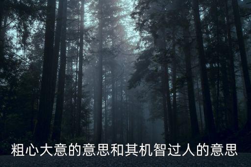 粗心大意的意思和其機智過人的意思