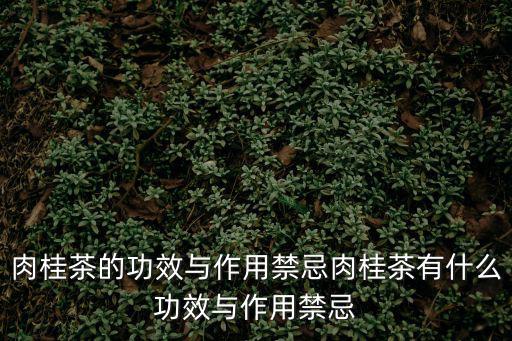 肉桂茶的功效與作用禁忌肉桂茶有什么功效與作用禁忌