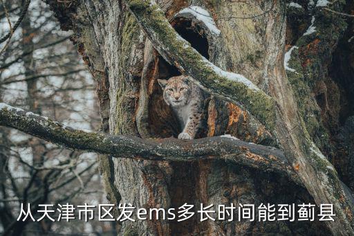 從天津市區發ems多長時間能到薊縣