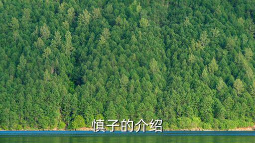 慎子的介紹