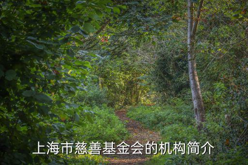 上海市慈善基金會的機構簡介