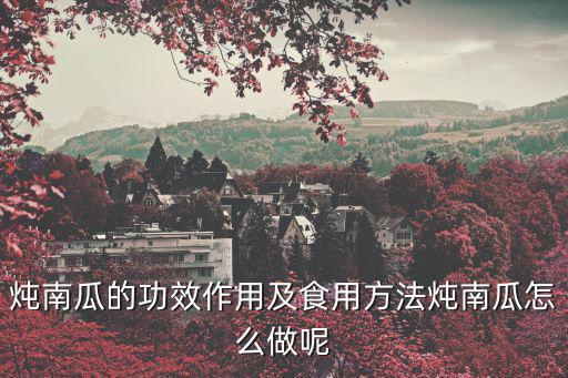 燉南瓜的功效作用及食用方法燉南瓜怎么做呢