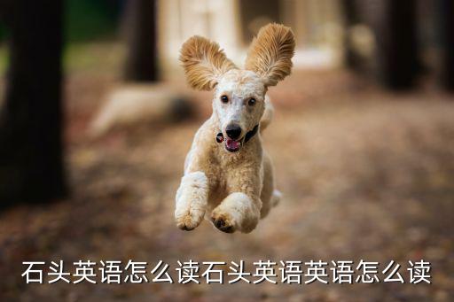石頭英語怎么讀石頭英語英語怎么讀