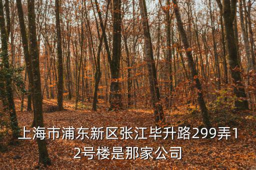 上海市愚園路 78弄，上海市浦東新區(qū)張江畢升路299弄12號(hào)樓是那家公司