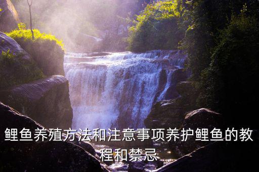 鯉魚的養殖方法,養殖鯉魚注意事項有哪些?