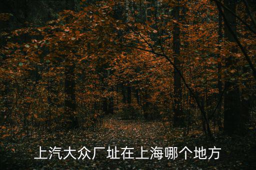 上海市嘉定區曹安公路5288號，上汽大眾是屬于堰橋園區的嗎
